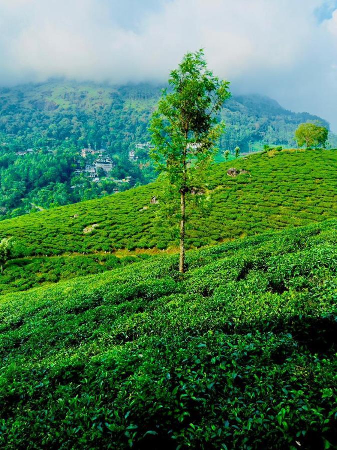Ferienwohnung Tea & Sky Munnar Exterior foto
